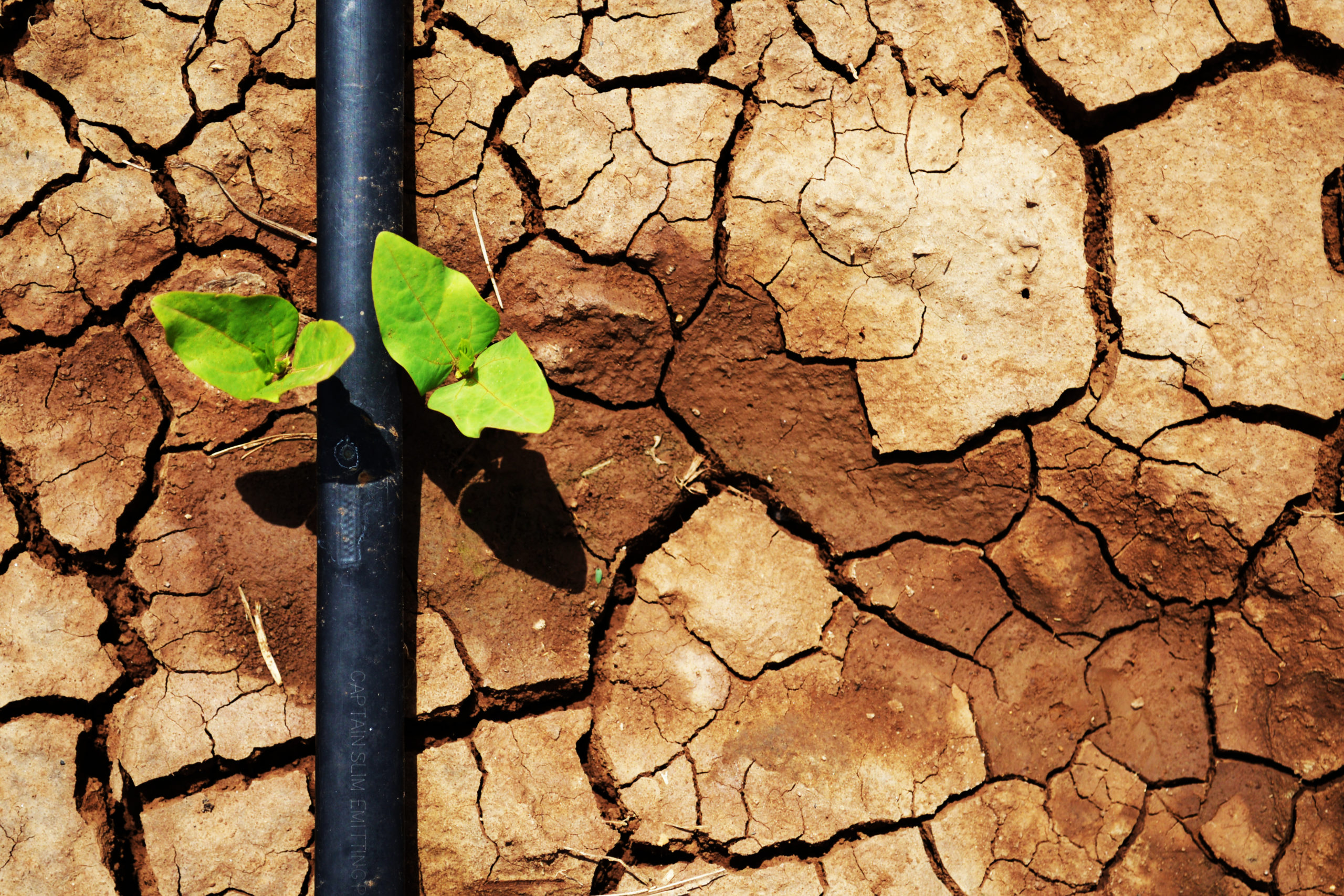 Réfugiés climatiques – les victimes oubliées du monde